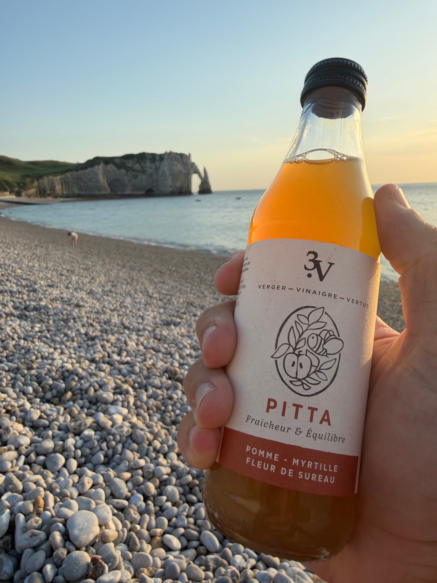 Pitta • Pomme, Myrtille & Fleur de Sureau